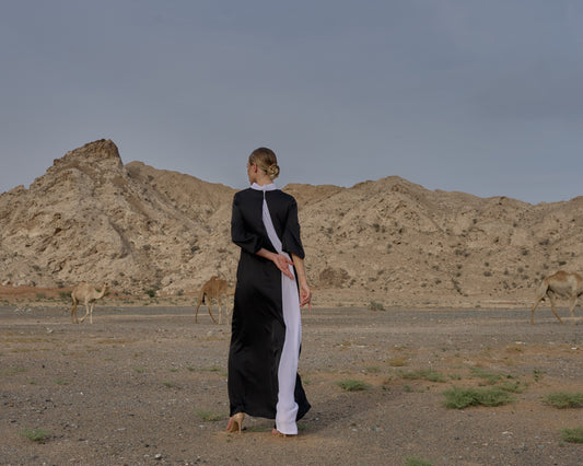 Silk dress with white collar